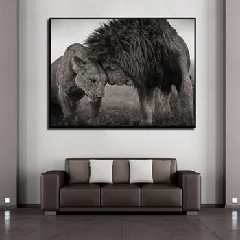 Black og white lion dyr dekorative maleri enkle boligindretning plakat