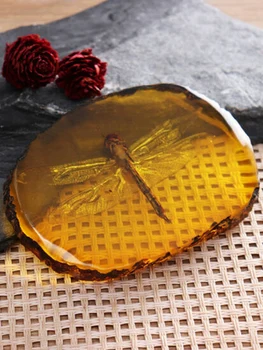 Samling Kinesiske Smuk Rav Dragonfly Fossile Insekter Manuel Polering Udsøgt Gave